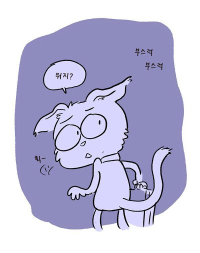 길을 잘못 들어간 고양이 | 인스티즈