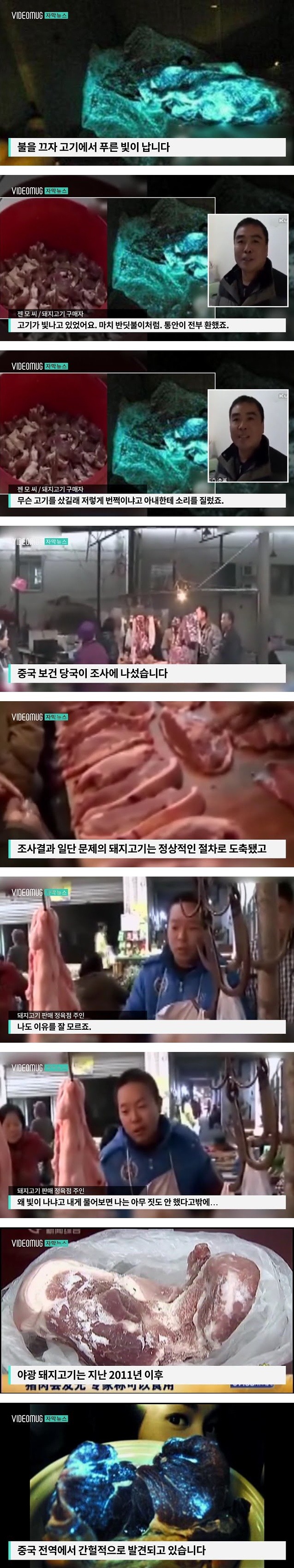 중국의 야광 돼지고기 | 인스티즈