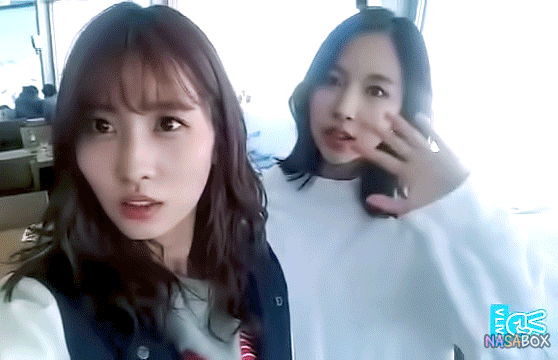 모모와 사나 | 인스티즈