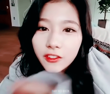 트와이스 야호.... | 인스티즈
