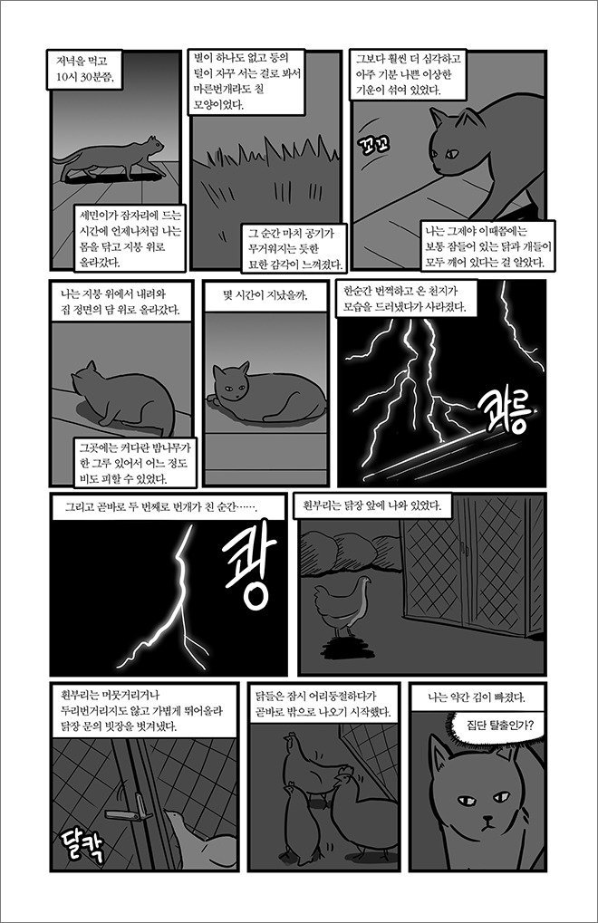 묘생만경 | 인스티즈