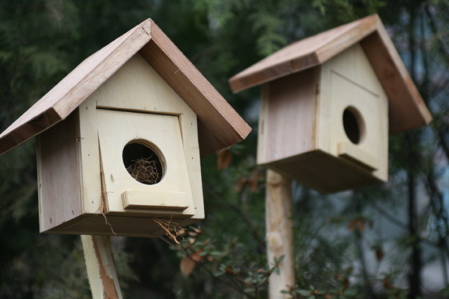 우리가 모르는 새집의 구조.gif | 인스티즈