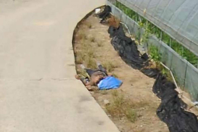 [놀람주의] 다음 로드뷰 시체(?) 추가 사진들 | 인스티즈