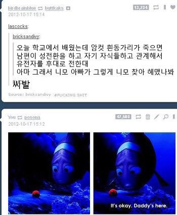 니모를 찾는 이유(욕주의) | 인스티즈