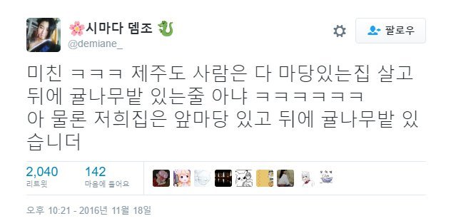 제주도라고 다 귤농사 짓고 그런다는 거 편견이야.twt | 인스티즈