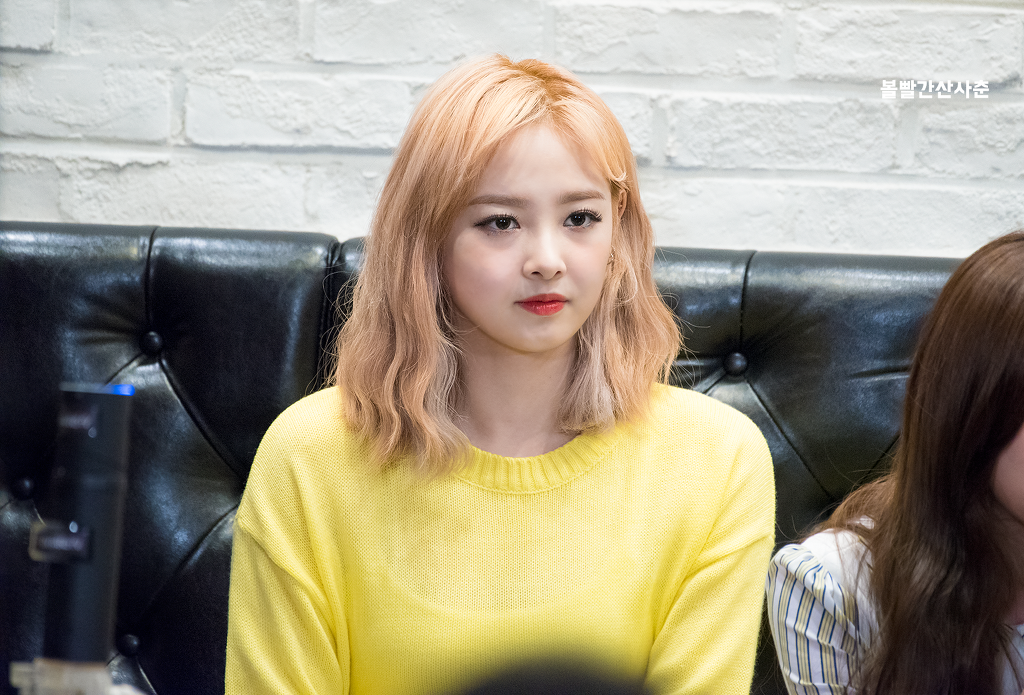 소나무와커피 이미지