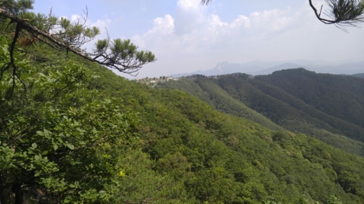고광사 이미지
