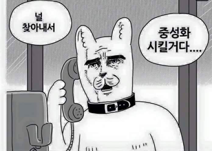 인생이 짜증날때 보면 좋은 짤 모음.jpg | 인스티즈