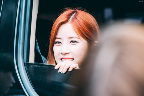 [에이핑크] 습도가 떨어질 기미가 보이질 않아서 박초롱 | 인스티즈