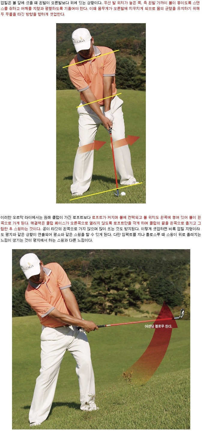 라이 이미지