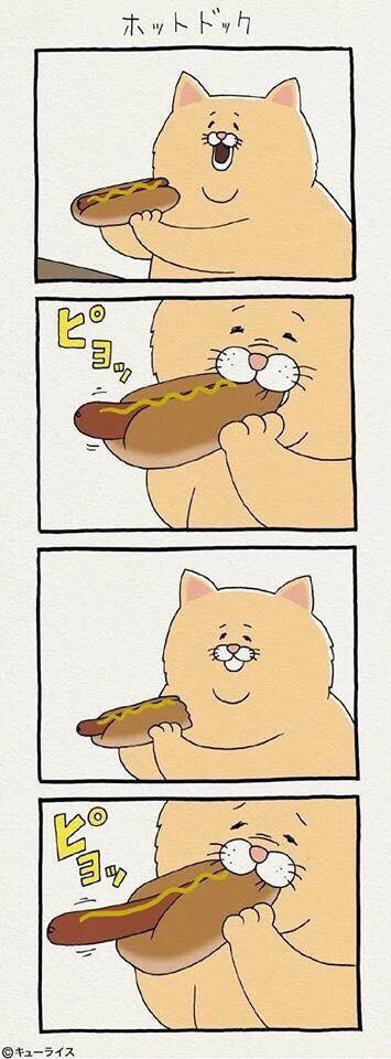 운 없는 고양이 시리즈.jpg | 인스티즈