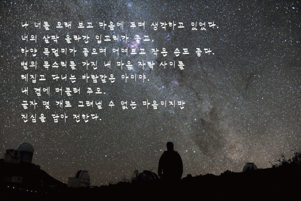 우유들이 사랑해 대신 전해줄 수 있는 그 한마디 | 인스티즈