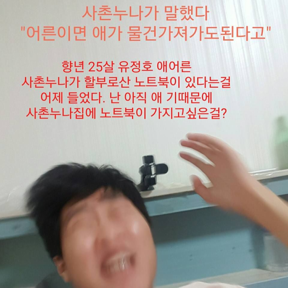 조카에게 닌텐도를 빼앗긴 한 남자 이야기 | 인스티즈
