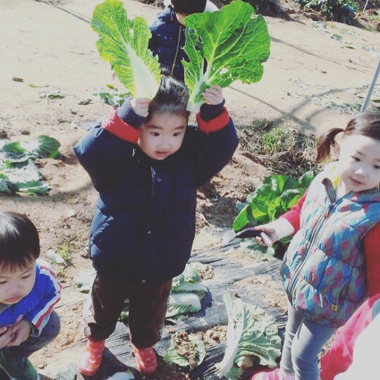 예은 이미지