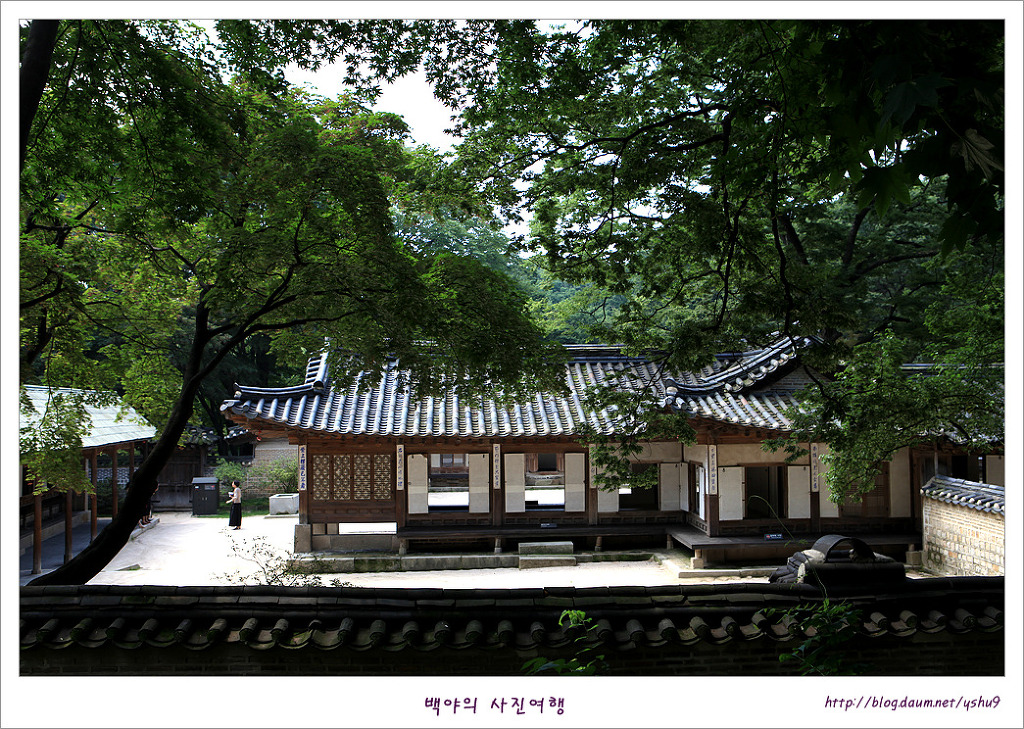 비원 이미지