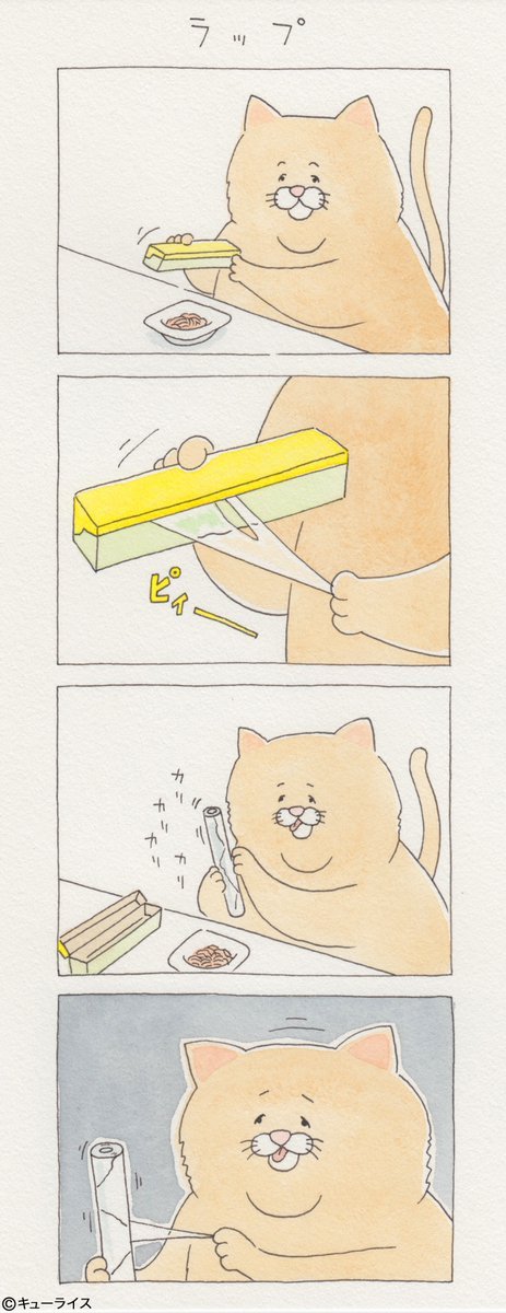 유감스러운 고양이 | 인스티즈