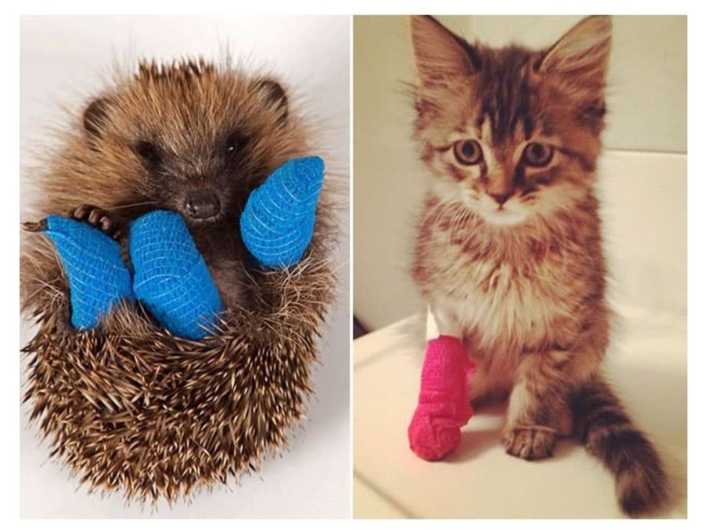 나 아야했쪄 | 인스티즈