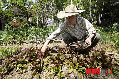 🌿 농업왕 문재인 🌿 | 인스티즈