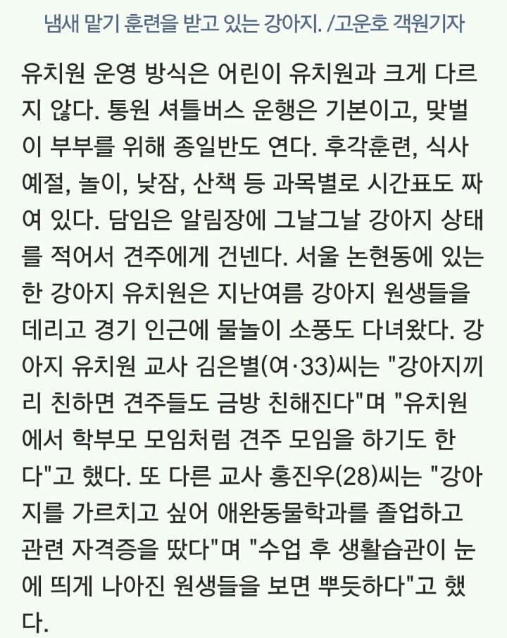 유치원 다니는 강아지들 셔틀버스는 기본 과목별 시간표도 | 인스티즈