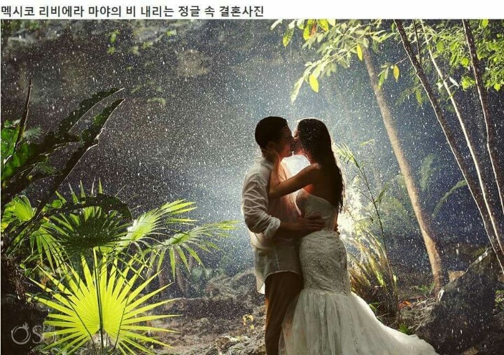 2467E33855E9619409F172