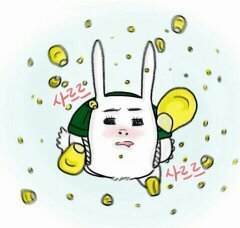 사르르 이미지
