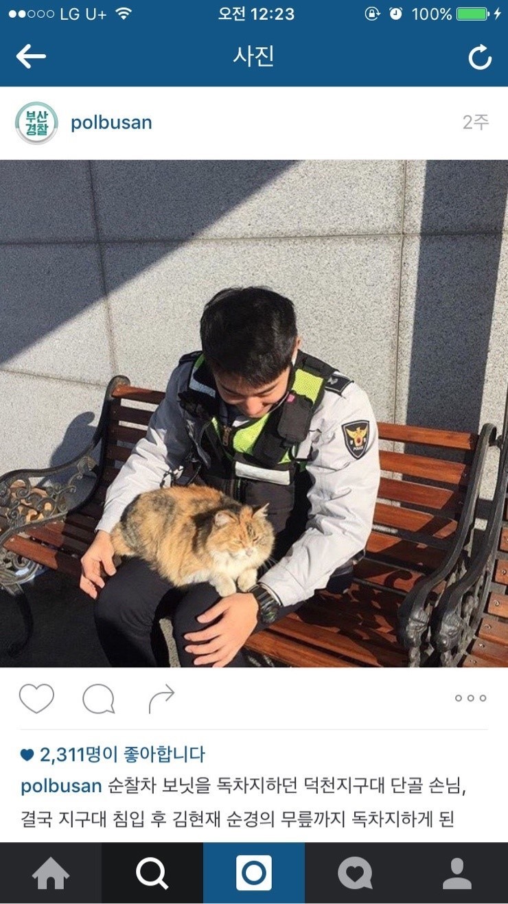 부산 진상고양이.jpg | 인스티즈