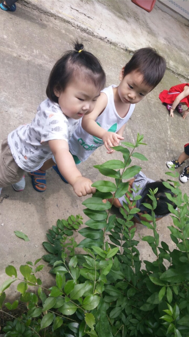 꽃과 이미지