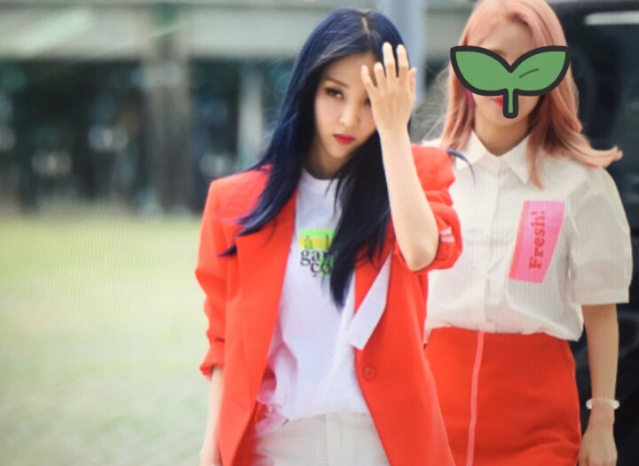별콩 이미지