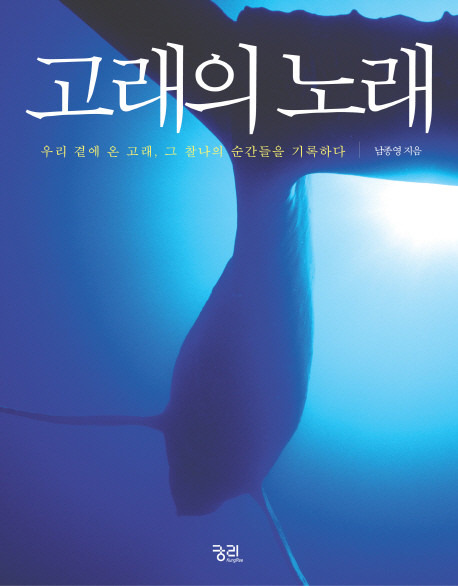 상상으로라도 더위를 식혀주는 책 속의 구절 4가지 | 인스티즈