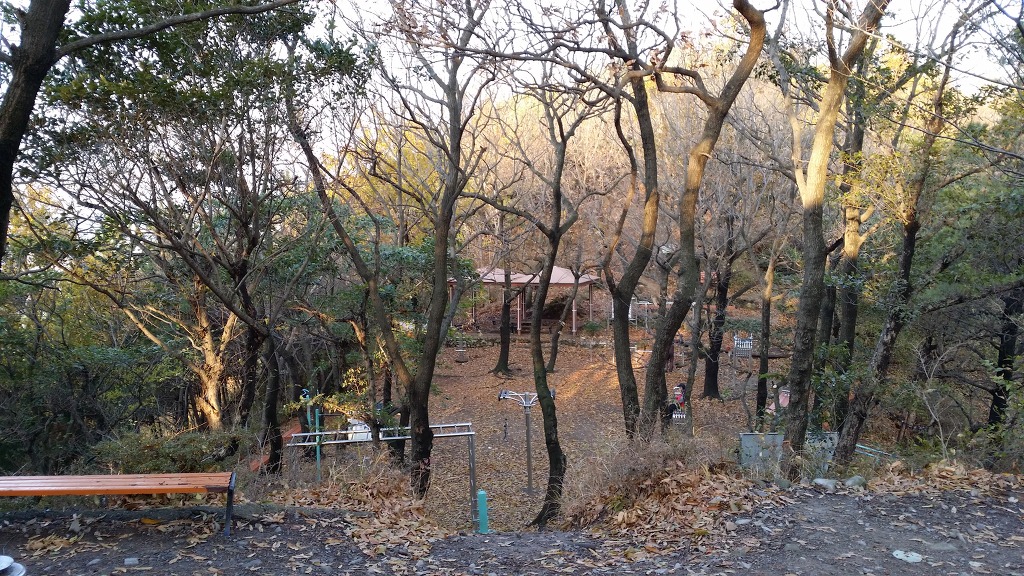 목연 이미지