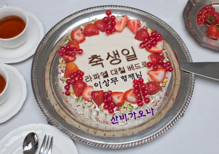 주식회사 라파엘 이미지