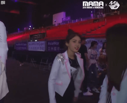 초식동물 괴롭히는 소미ㅋㅋㅋㅋㅋ.gif | 인스티즈