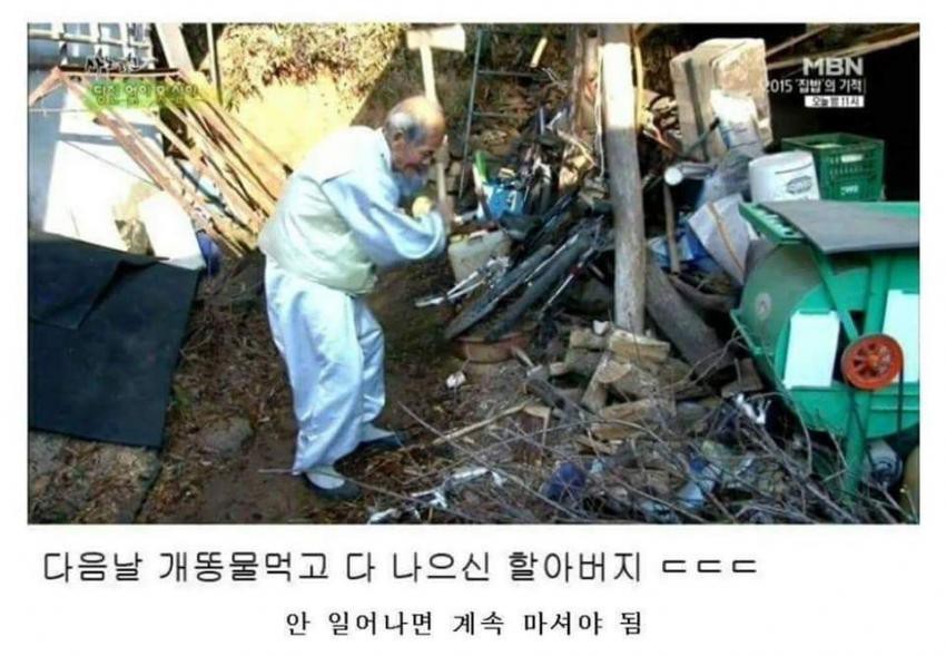 충격과 공포의 민간요법 | 인스티즈