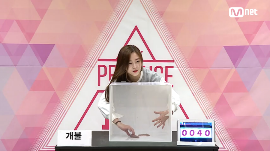 프로듀스 101 비주얼 멤버 정은우 | 인스티즈