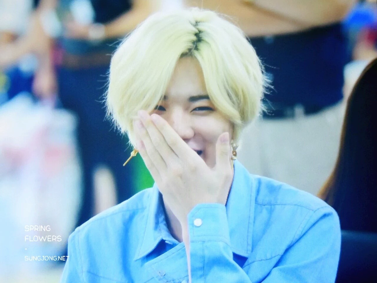 하울 이미지