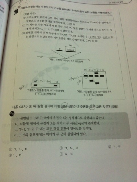 엠디이 이미지