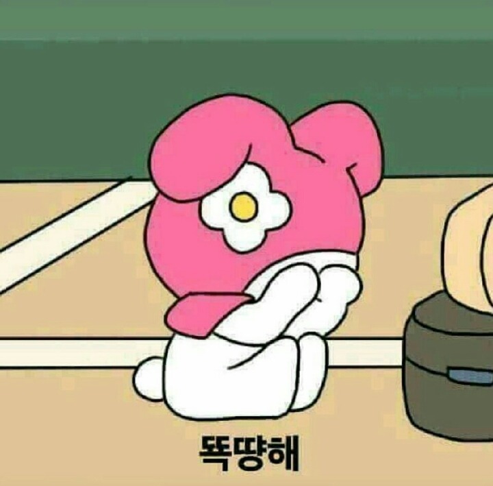 시현 이미지