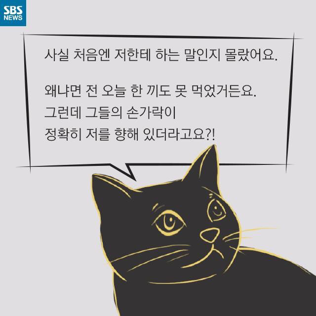 길 고양이가 뚱뚱한 이유..jpg | 인스티즈