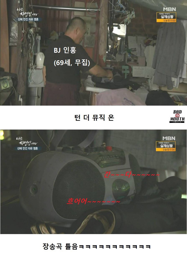 말벌 이후 레전드 경신한 나는 자연인이다 ㅋㅋㅋㅋㅋㅋㅋ | 인스티즈