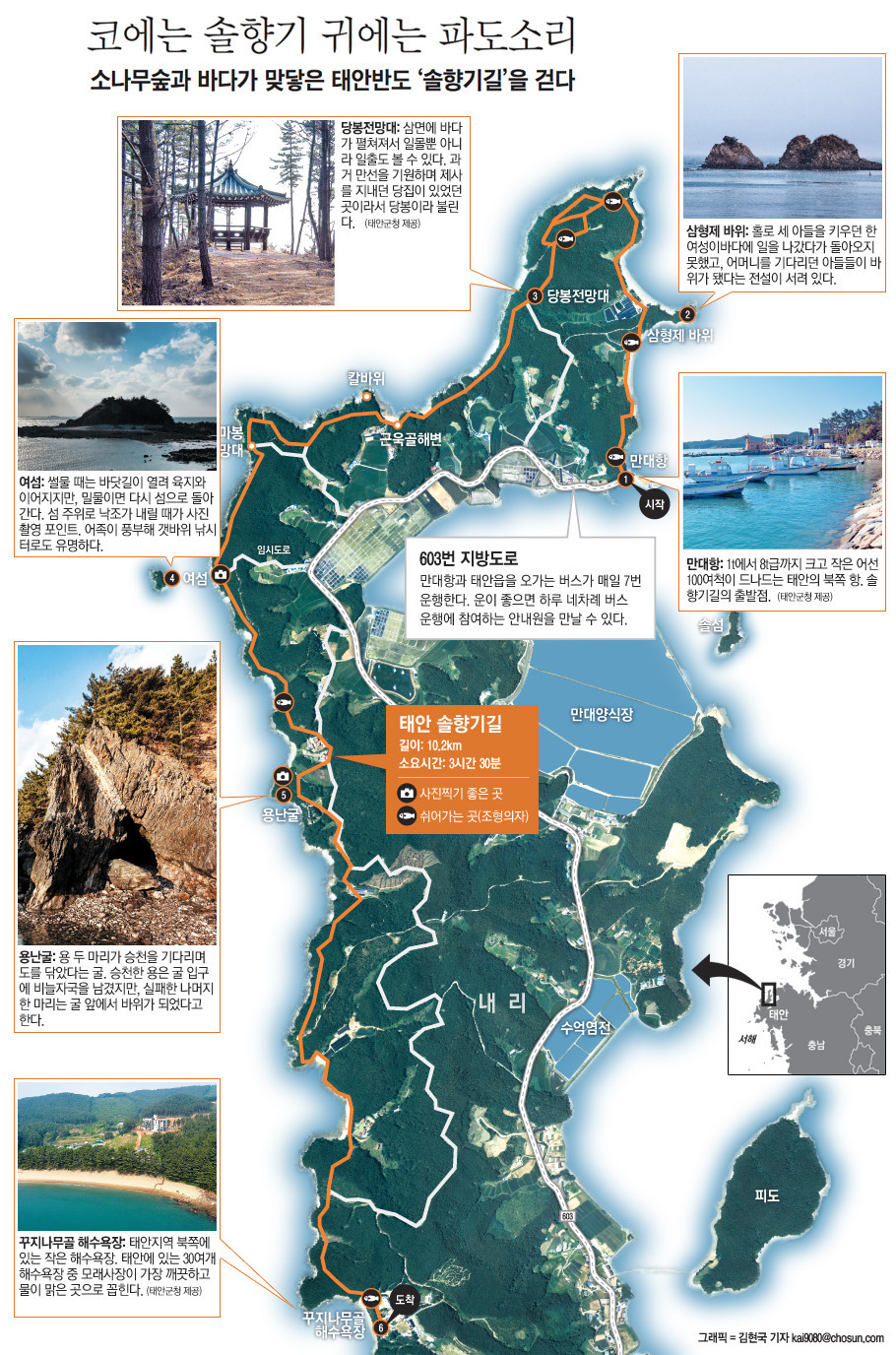 솔향기매점 이미지