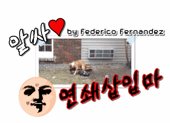 한달후 대학교 강의실 풍경.gif | 인스티즈