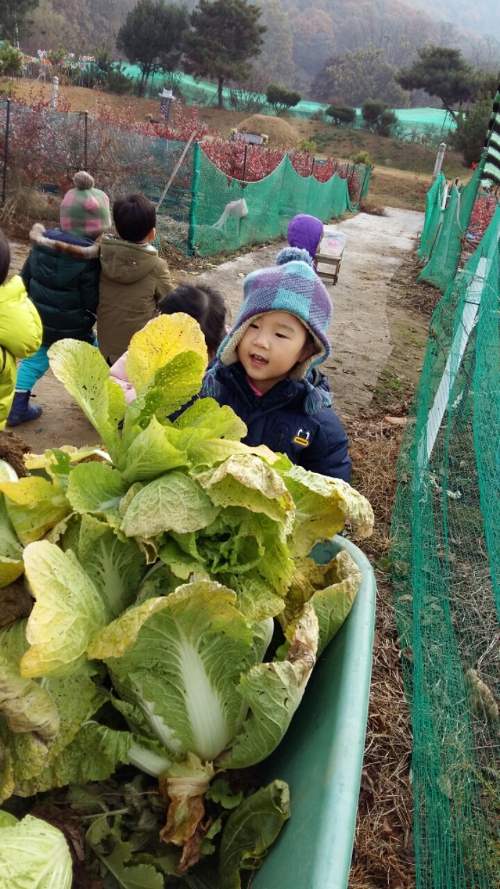늘노리자연학교 이미지