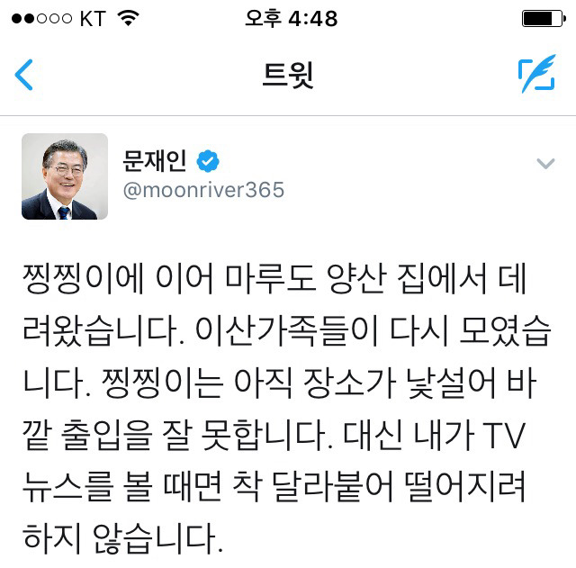 5/27 고양이 찡찡이와 문재인 대통령.jpg | 인스티즈