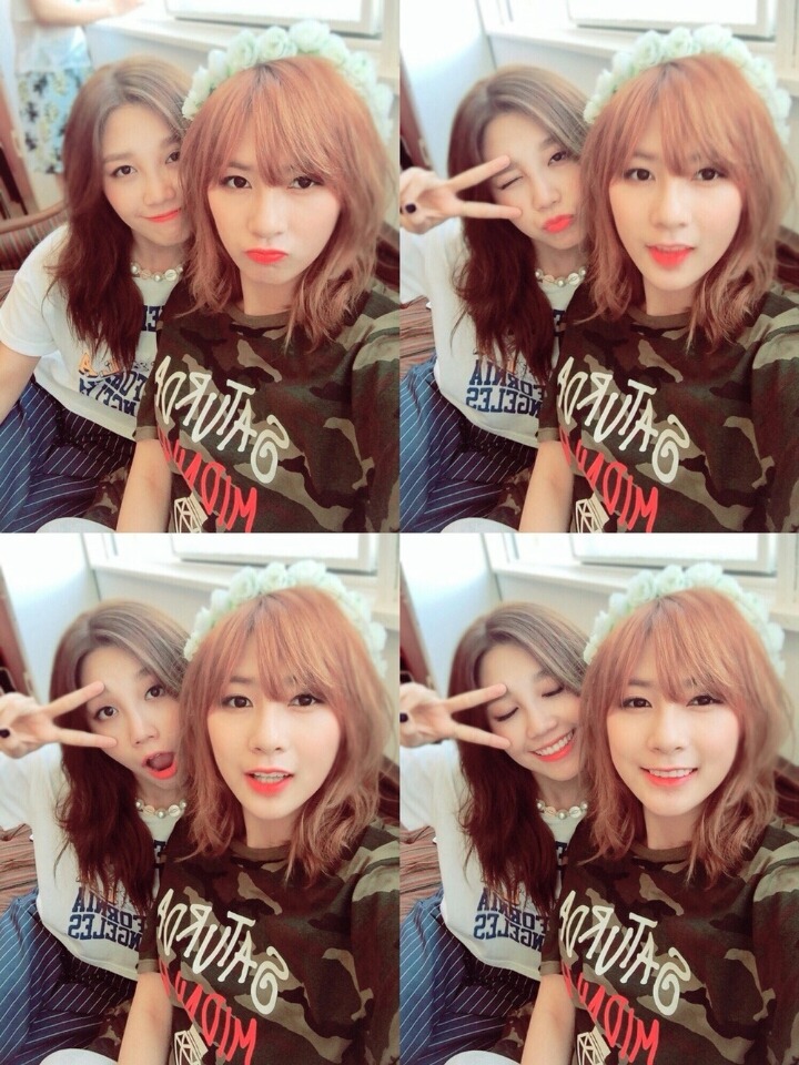 와따 이미지