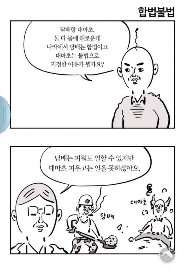 담배는 합법인데 대마초는 불법인 이유.JPG | 인스티즈