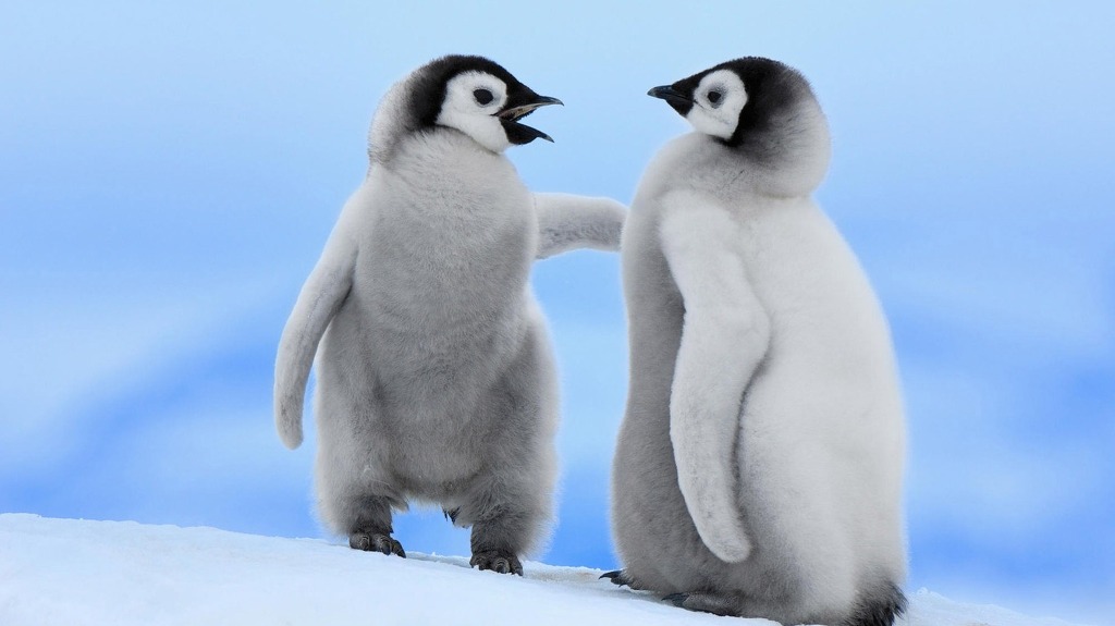 아가들은 귀엽다.JPG | 인스티즈