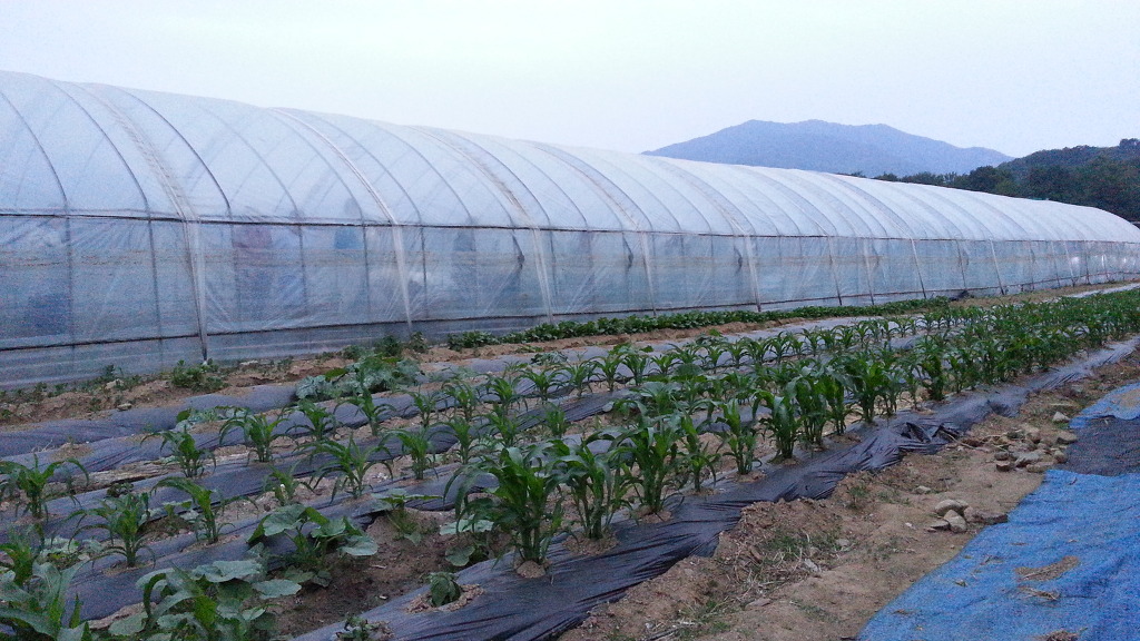 지산주유소 이미지