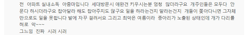 "우리 개는 안 물어요"..주인들의 착각 | 인스티즈