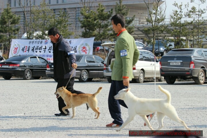 미소 이미지