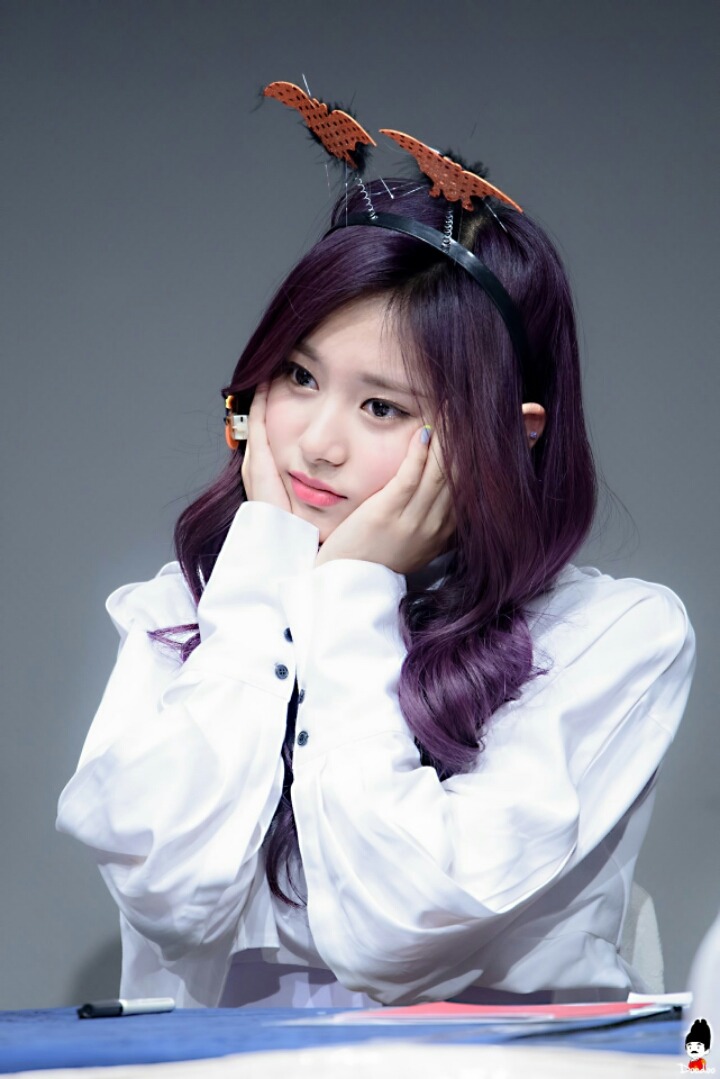 오늘 팬사인회한 트와이스 | 인스티즈